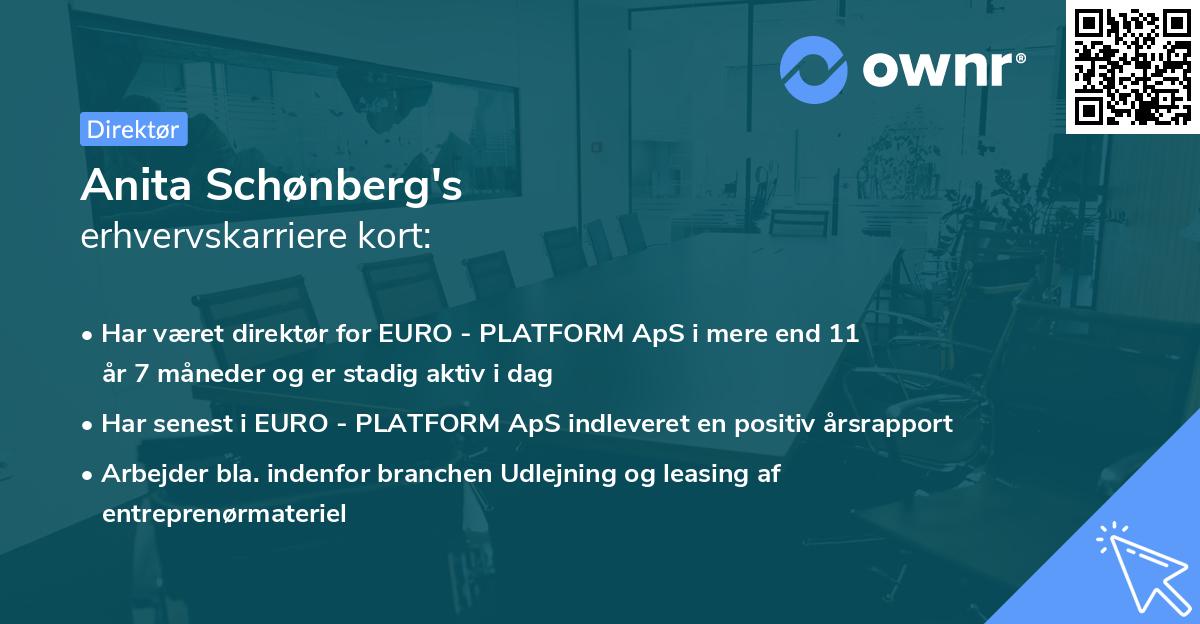 Anita Schønberg's erhvervskarriere kort