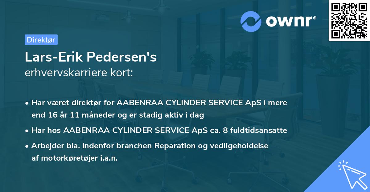 Lars-Erik Pedersen's erhvervskarriere kort