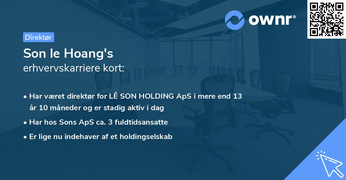 Son le Hoang's erhvervskarriere kort