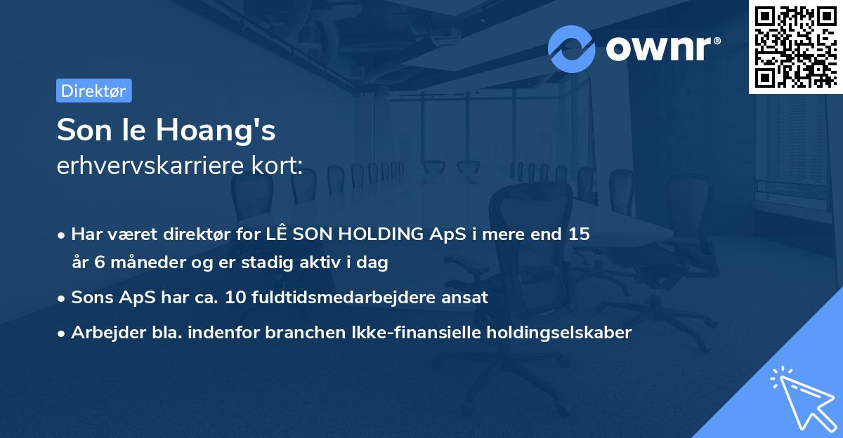 Son le Hoang's erhvervskarriere kort