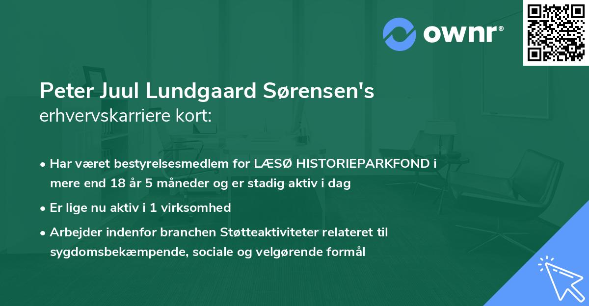 Peter Juul Lundgaard Sørensen's erhvervskarriere kort
