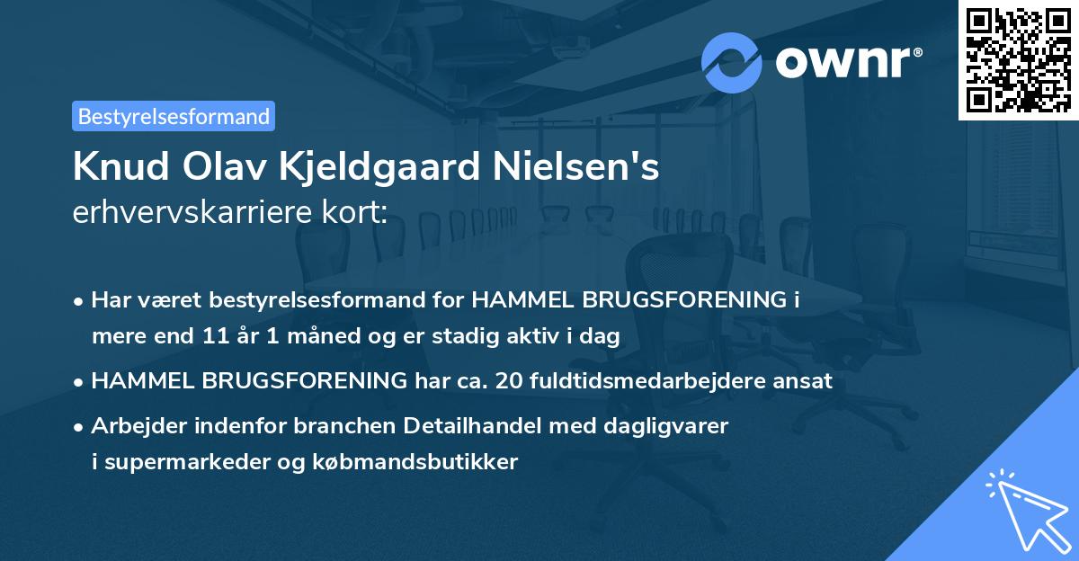 Knud Olav Kjeldgaard Nielsen's erhvervskarriere kort