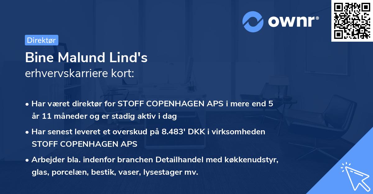 Bine Malund Lind's erhvervskarriere kort