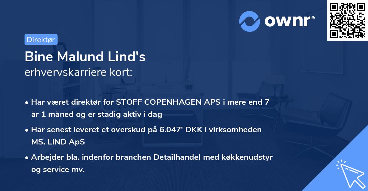 Bine Malund Lind's erhvervskarriere kort