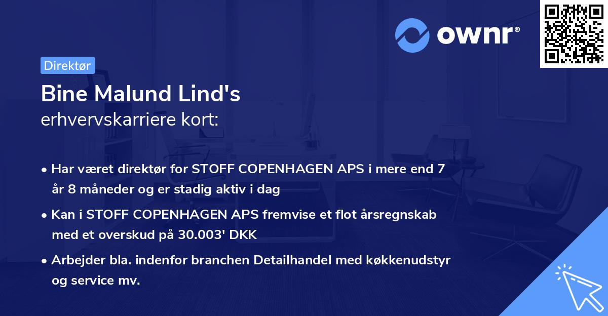 Bine Malund Lind's erhvervskarriere kort