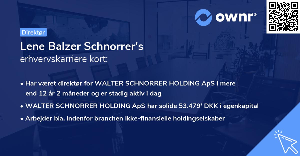 Lene Balzer Schnorrer's erhvervskarriere kort