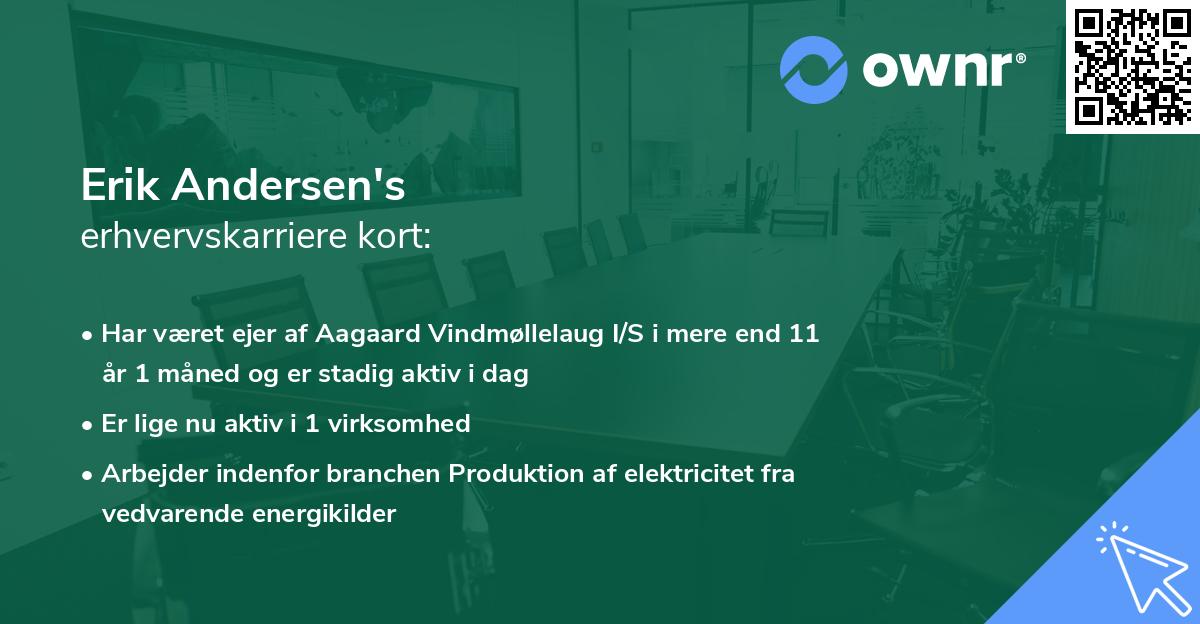 Erik Andersen's erhvervskarriere kort