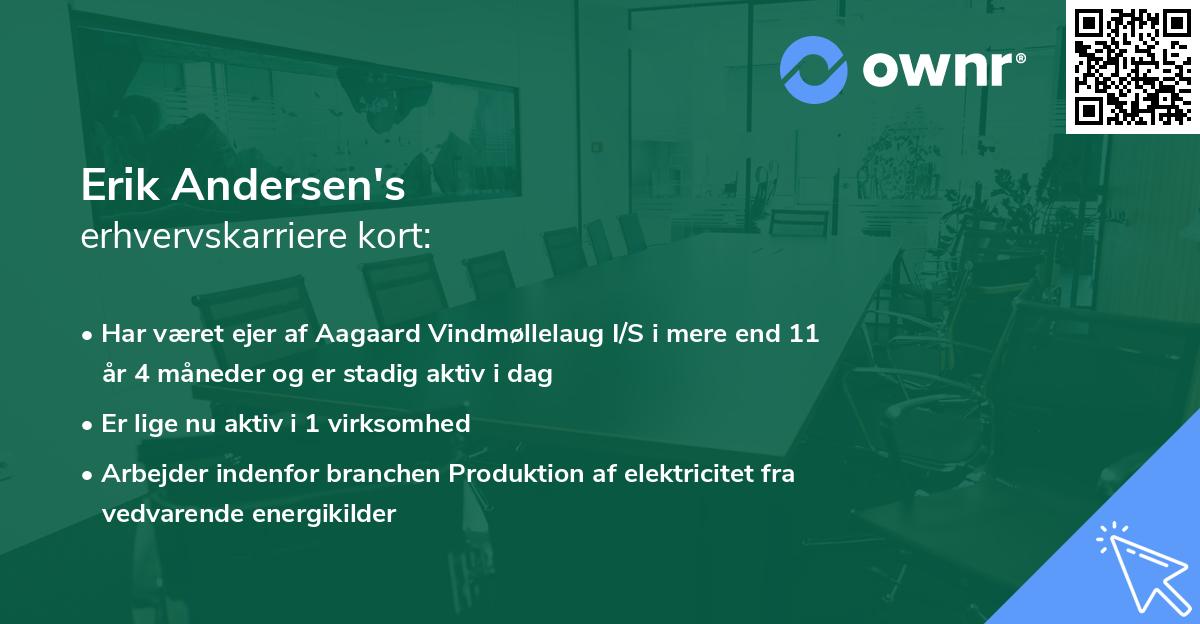 Erik Andersen's erhvervskarriere kort