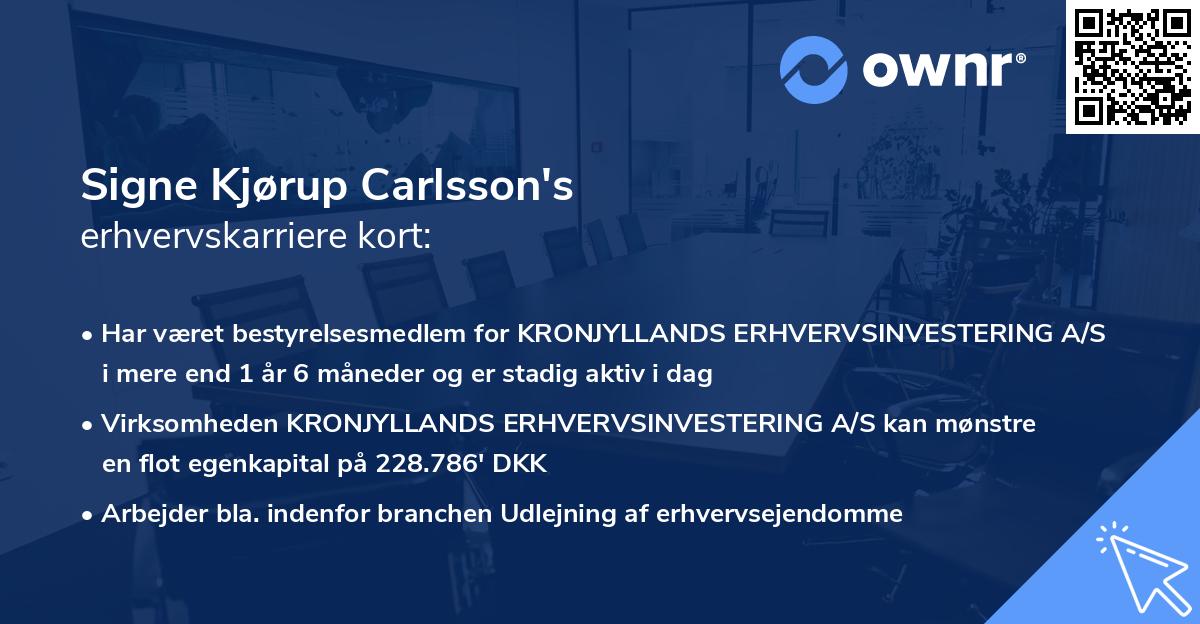 Signe Kjørup Carlsson's erhvervskarriere kort