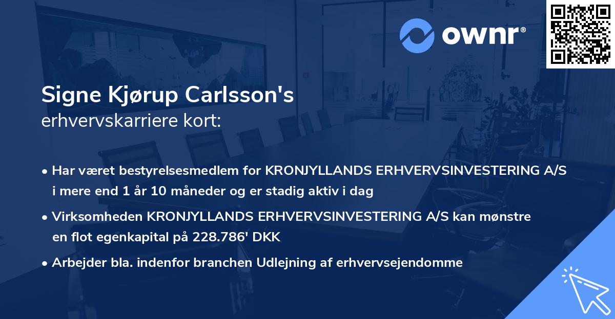 Signe Kjørup Carlsson's erhvervskarriere kort