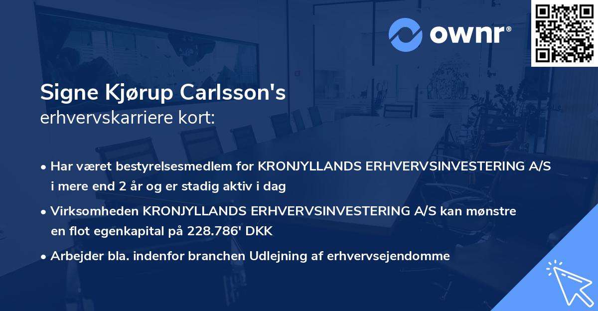 Signe Kjørup Carlsson's erhvervskarriere kort