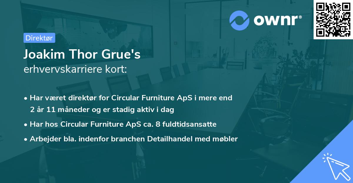 Joakim Thor Grue's erhvervskarriere kort