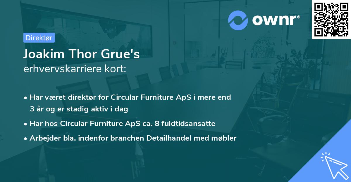 Joakim Thor Grue's erhvervskarriere kort