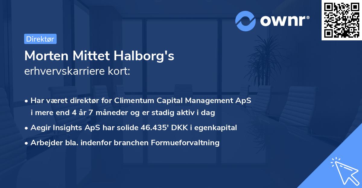 Morten Mittet Halborg's erhvervskarriere kort