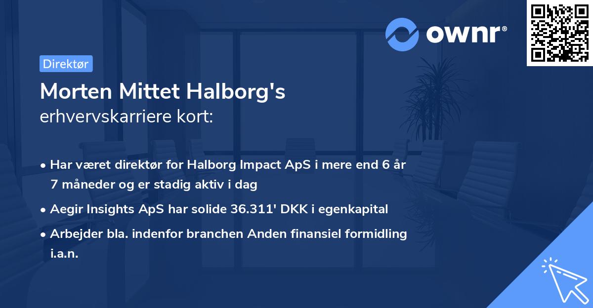 Morten Mittet Halborg's erhvervskarriere kort