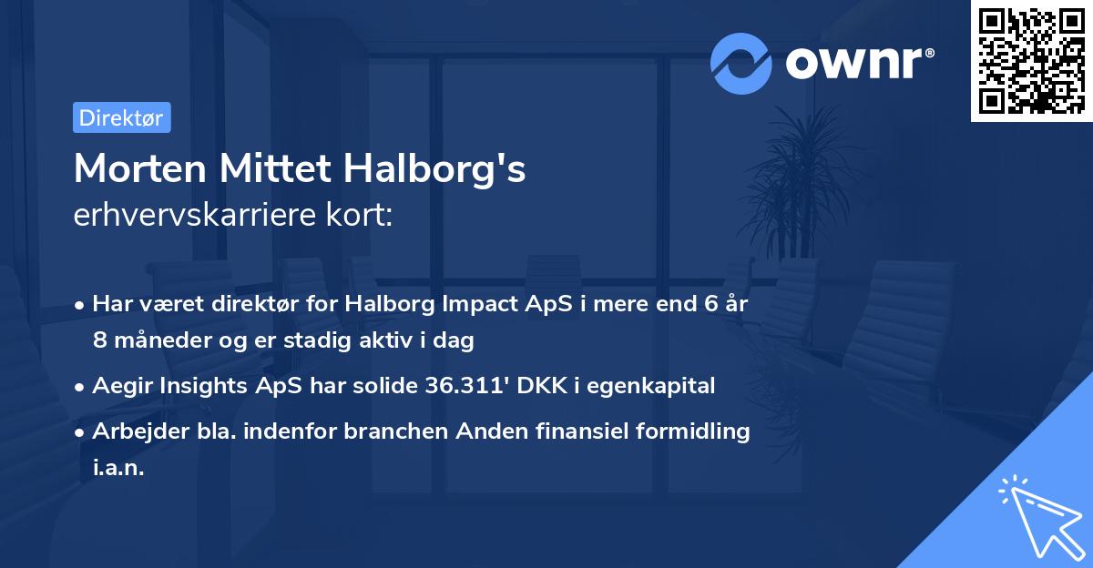 Morten Mittet Halborg's erhvervskarriere kort