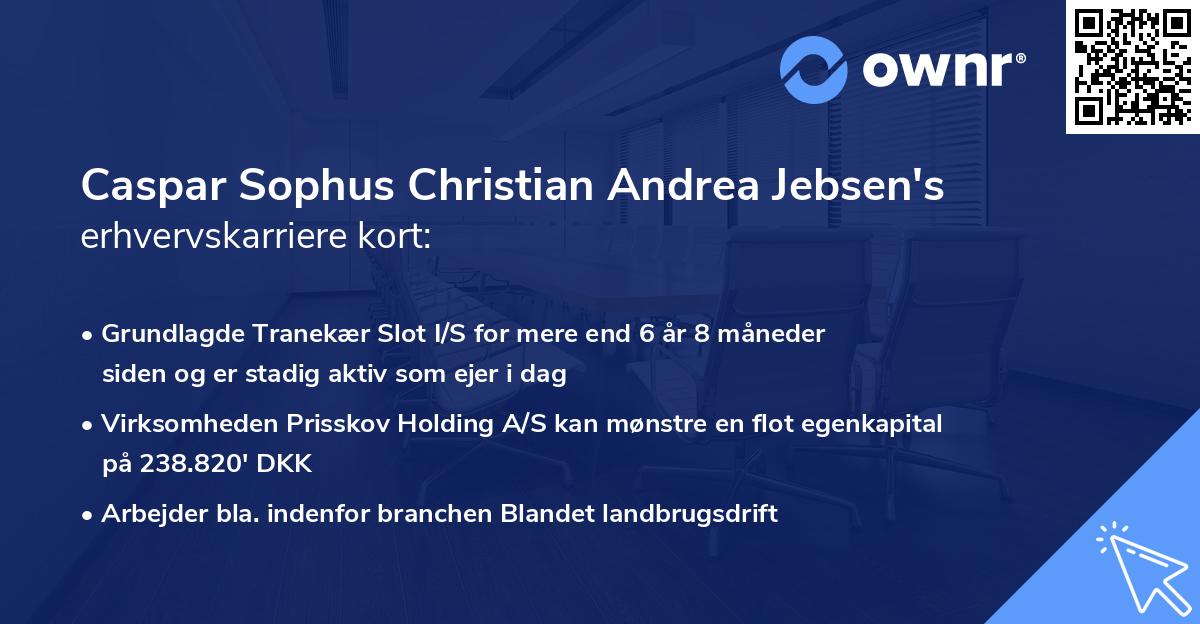 Caspar Sophus Christian Andrea Jebsen's erhvervskarriere kort