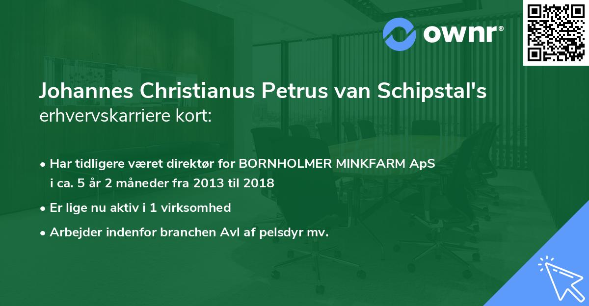 Johannes Christianus Petrus van Schipstal's erhvervskarriere kort