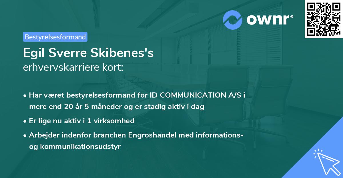 Egil Sverre Skibenes's erhvervskarriere kort