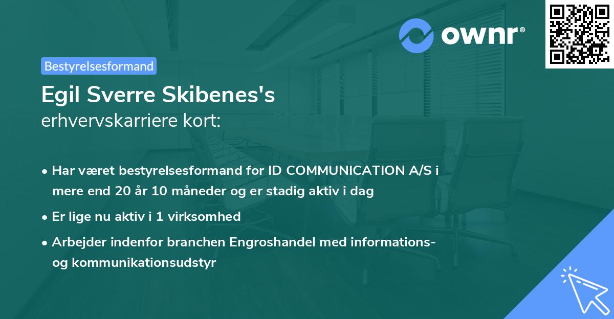 Egil Sverre Skibenes's erhvervskarriere kort