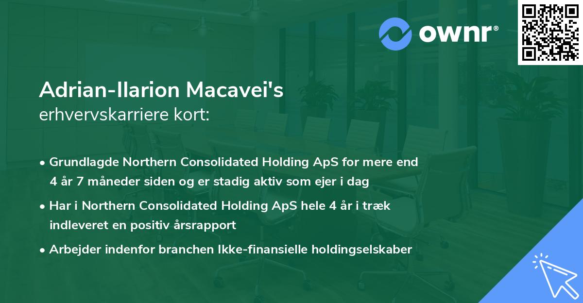 Adrian-Ilarion Macavei's erhvervskarriere kort