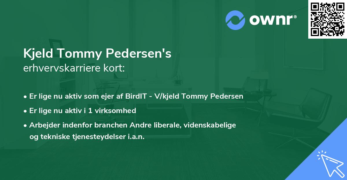 Kjeld Tommy Pedersen's erhvervskarriere kort