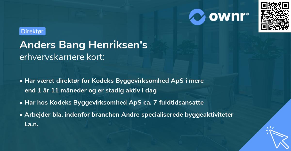 Anders Bang Henriksen's erhvervskarriere kort