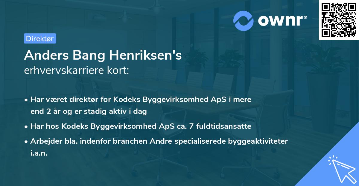 Anders Bang Henriksen's erhvervskarriere kort