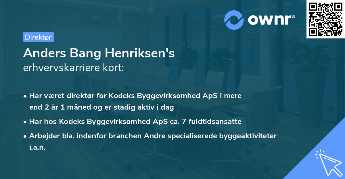 Anders Bang Henriksen's erhvervskarriere kort