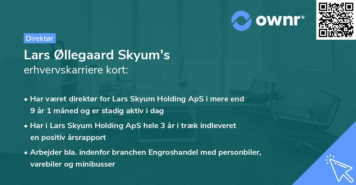 Lars Øllegaard Skyum's erhvervskarriere kort