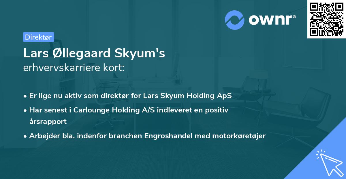 Lars Øllegaard Skyum's erhvervskarriere kort