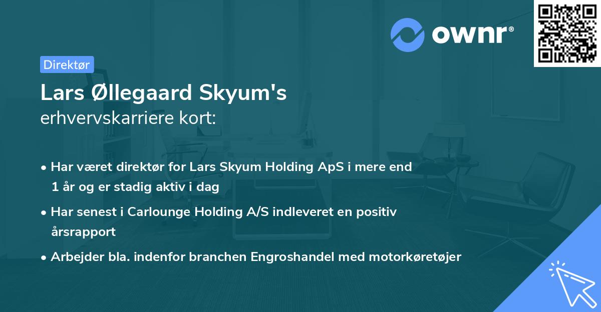 Lars Øllegaard Skyum's erhvervskarriere kort