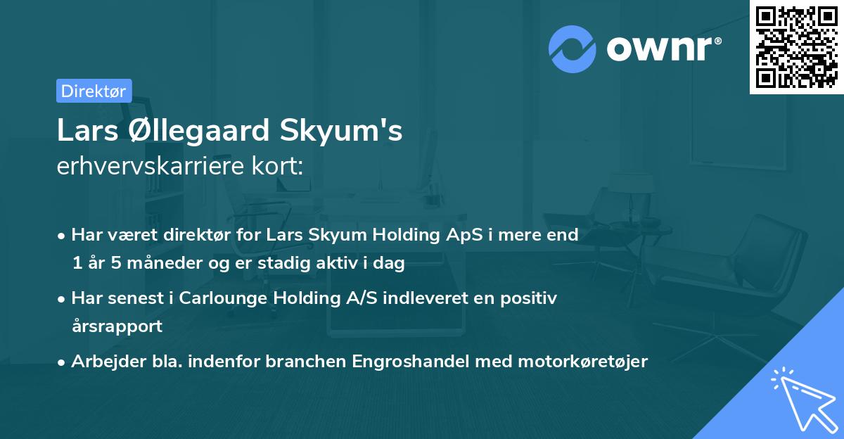 Lars Øllegaard Skyum's erhvervskarriere kort