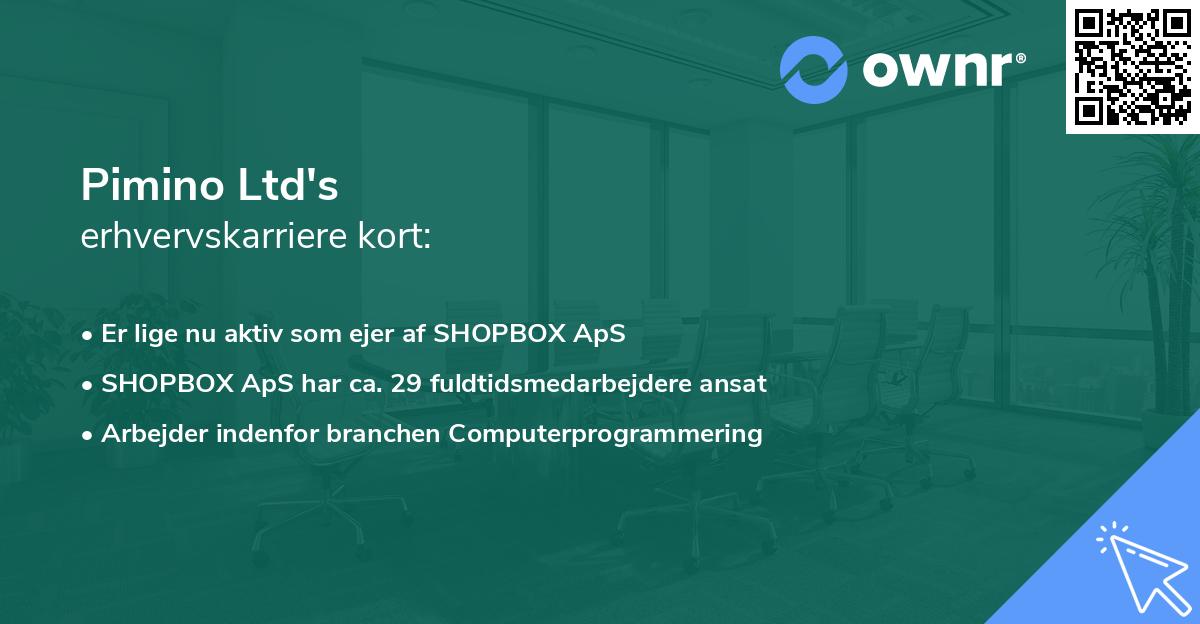 Pimino Ltd's erhvervskarriere kort