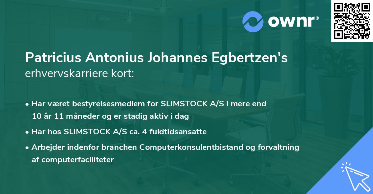 Patricius Antonius Johannes Egbertzen's erhvervskarriere kort