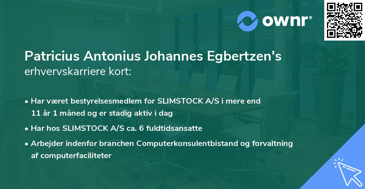 Patricius Antonius Johannes Egbertzen's erhvervskarriere kort