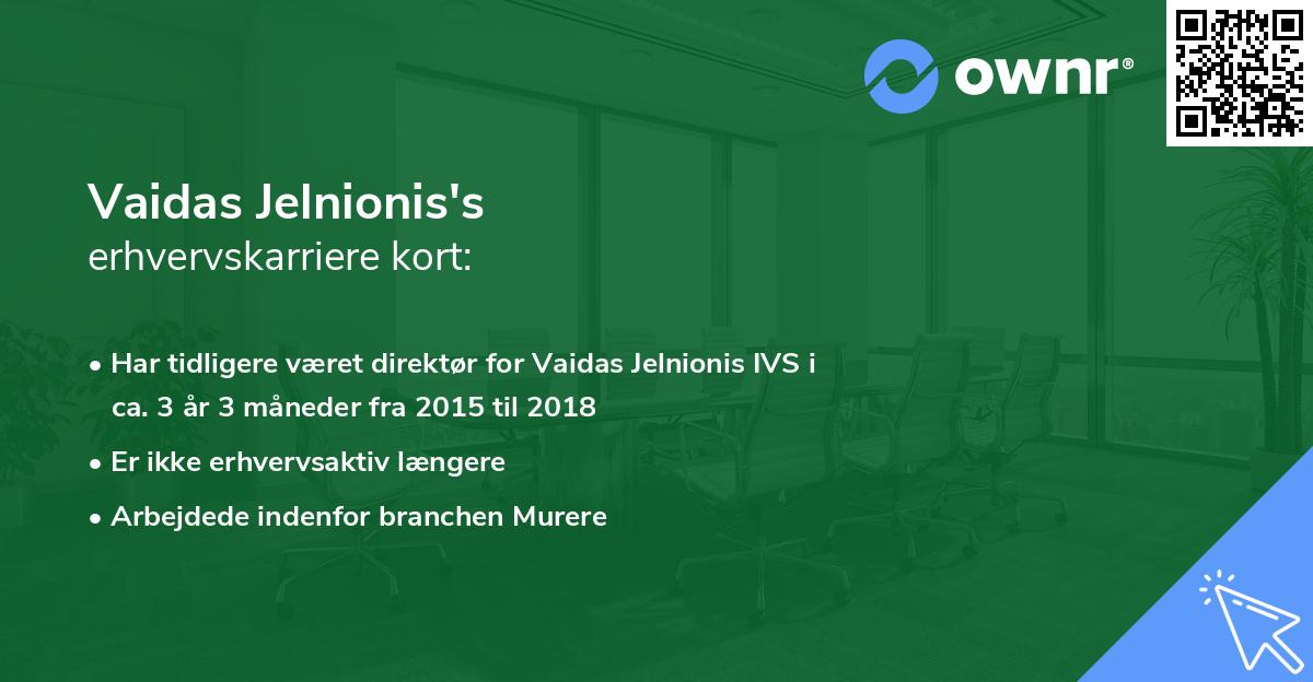 Vaidas Jelnionis's erhvervskarriere kort