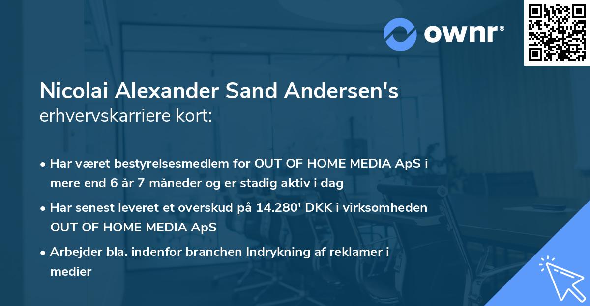 Nicolai Alexander Sand Andersen's erhvervskarriere kort