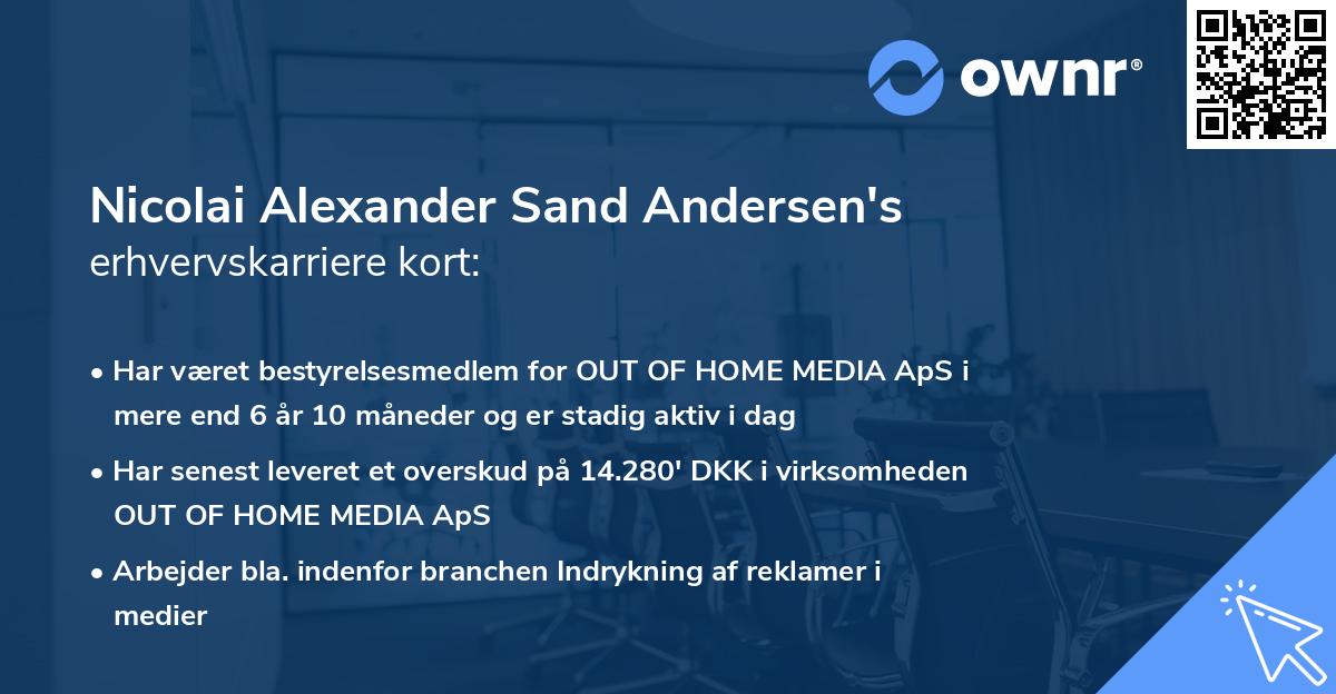 Nicolai Alexander Sand Andersen's erhvervskarriere kort