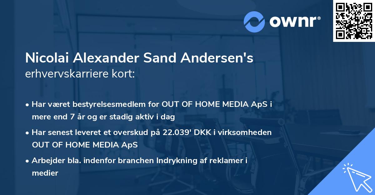 Nicolai Alexander Sand Andersen's erhvervskarriere kort