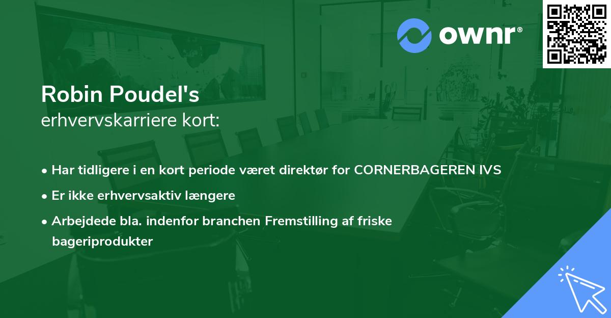 Robin Poudel's erhvervskarriere kort