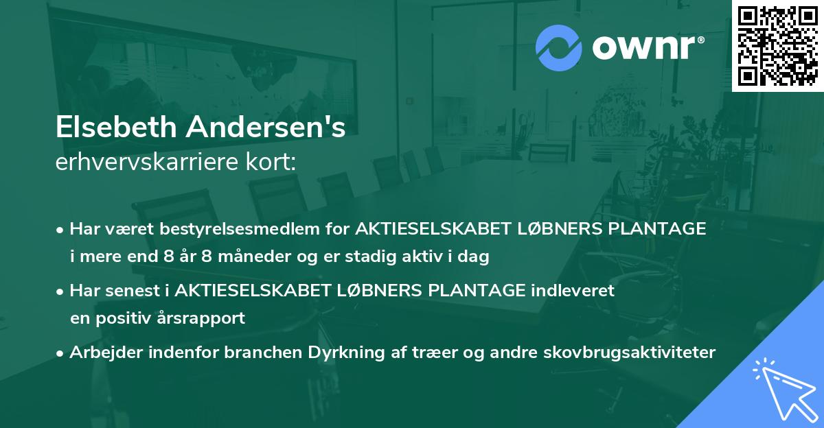 Elsebeth Andersen's erhvervskarriere kort