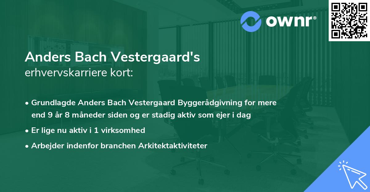 Anders Bach Vestergaard's erhvervskarriere kort
