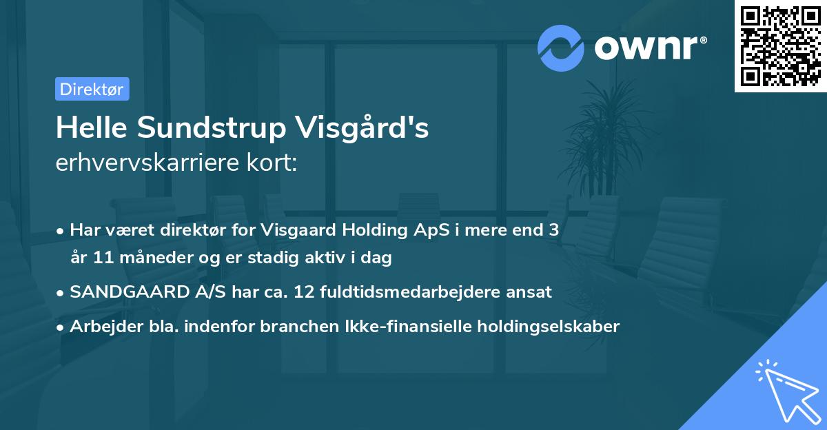 Helle Sundstrup Visgård's erhvervskarriere kort