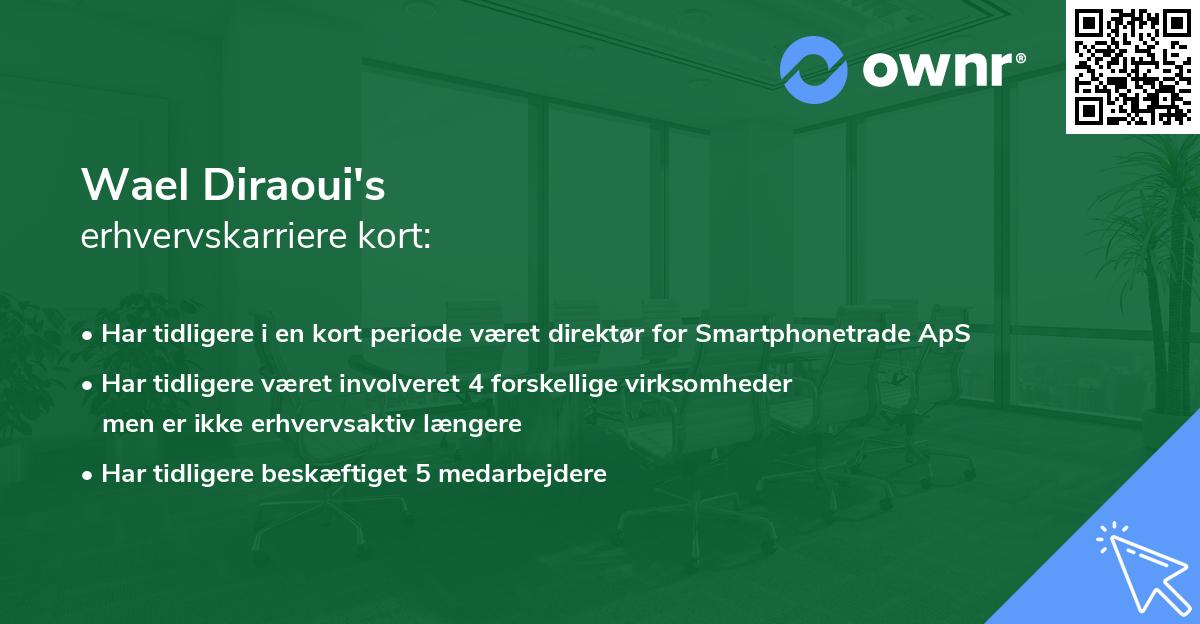 Wael Diraoui's erhvervskarriere kort