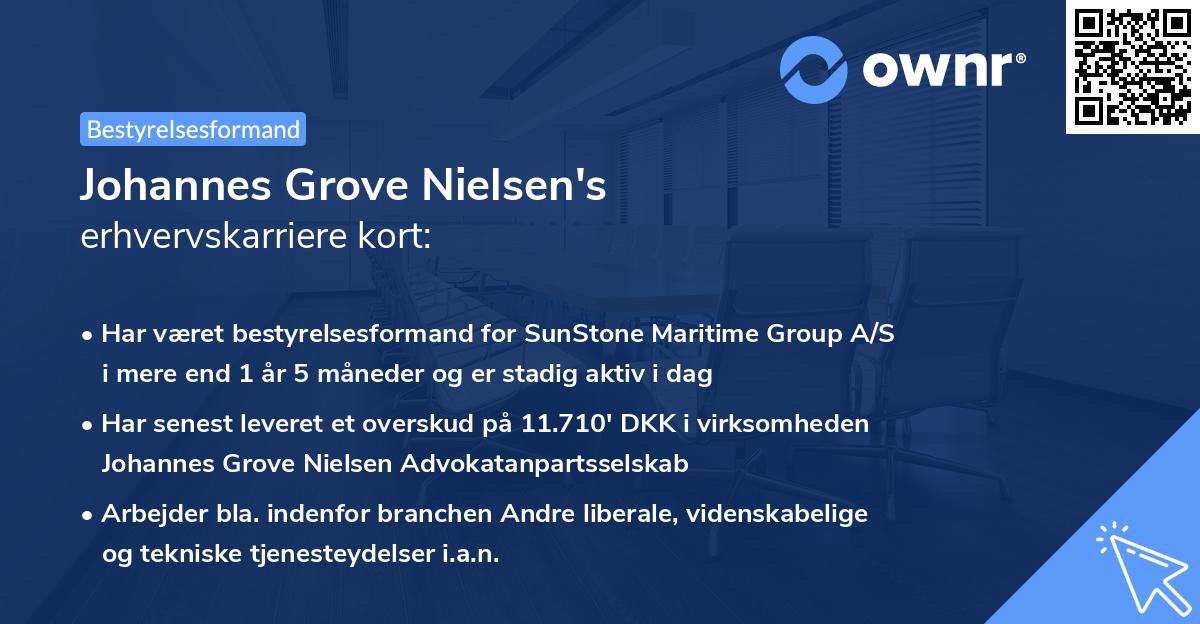 Johannes Grove Nielsen's erhvervskarriere kort