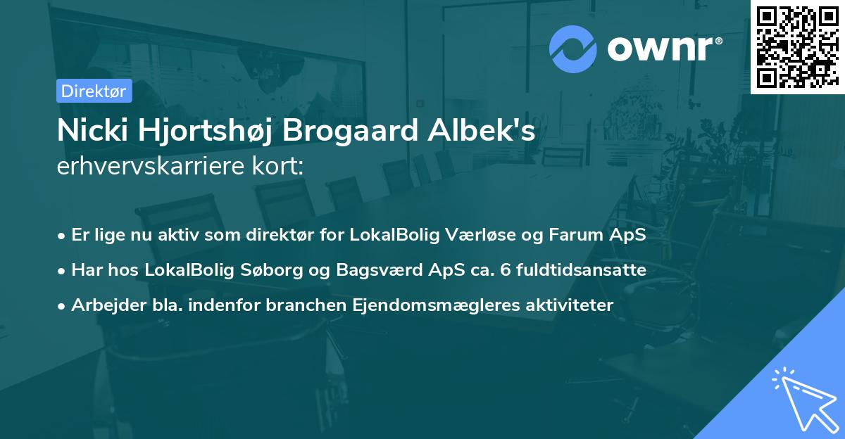 Nicki Hjortshøj Brogaard Albek's erhvervskarriere kort