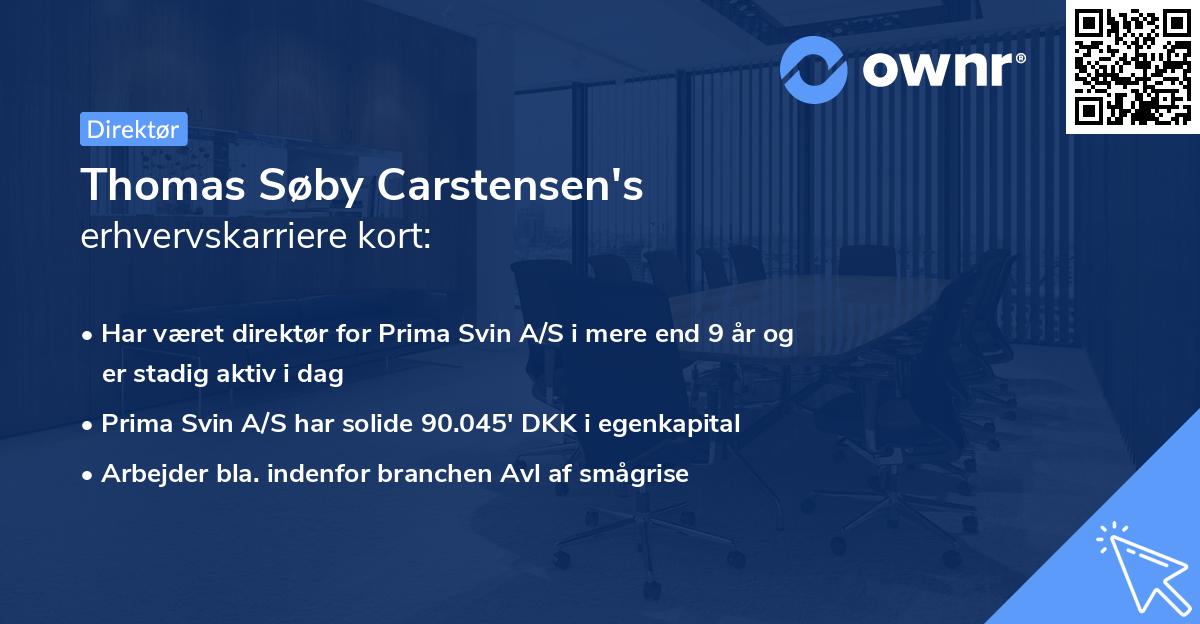Thomas Søby Carstensen's erhvervskarriere kort