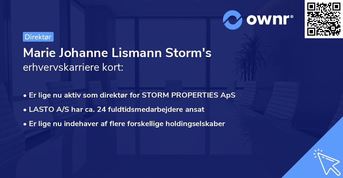 Marie Johanne Lismann Storm's erhvervskarriere kort