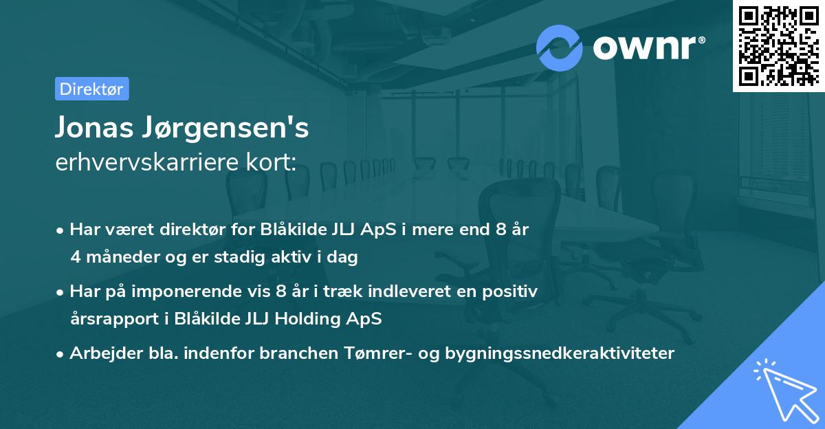 Jonas Jørgensen's erhvervskarriere kort